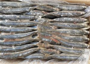 China Decapterus Muroaji Under 18 Degree 75g 80g Frozen Fishing Bait wholesale