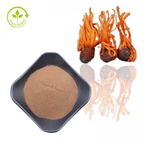 China Cordyceps Sinensis Extract Supplement Powder For Healthy Care on sale
