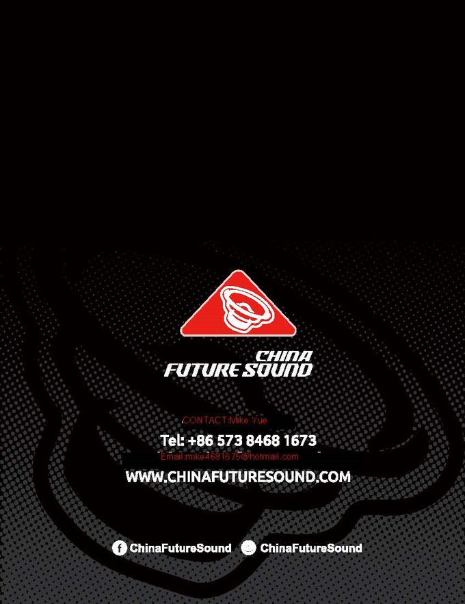 High Atmor coating subwooer box pro woofer box wooden box PDF box