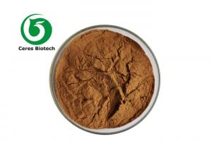 China Angelica Dong Quai Angelica Doubleteeth Angelica Root Extract Powder wholesale