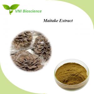 China Fruitbody Hericium Erinaceus Extract Organic Maitake Mushroom Extract Powder wholesale