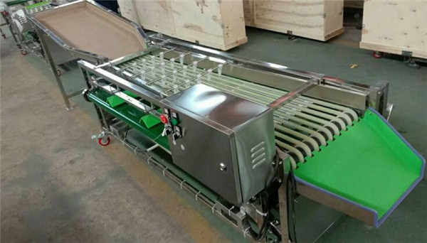 cherry grading machine,dates sorting machine,waxberry sortor,plum sorting machine