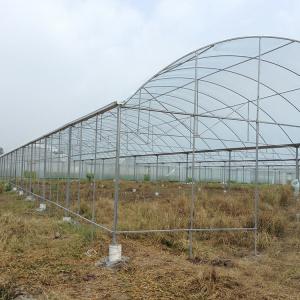 China Steel Structure Polythene Tunnel 4 Mil Plastic Sheeting Greenhouse wholesale