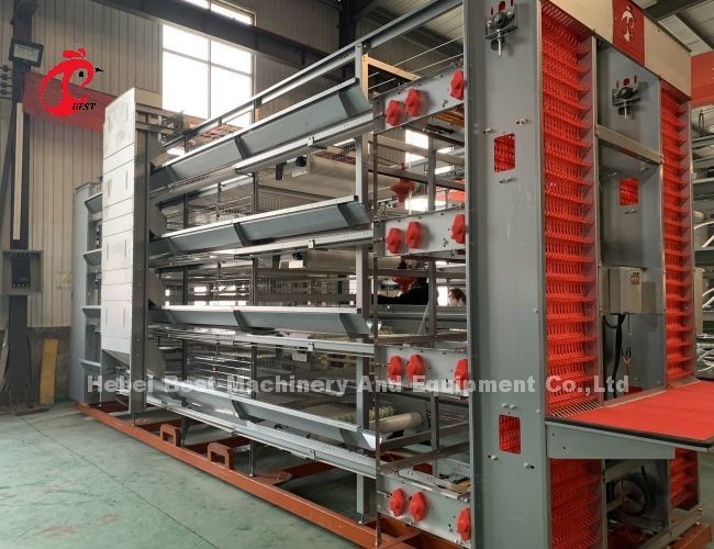 H Type 25 Years Lifespan Hot Dip Galvanized Automatic Layer Cage System Iris