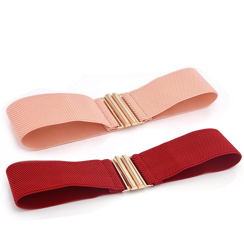 Blue Clasp Elastic Cinch Belt Garment Womens Fancy Dress Belts
