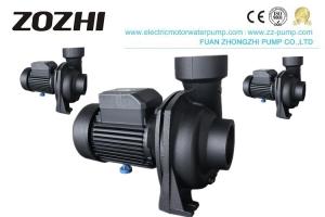 China 2 Inch Centrifugal Water Pump 0.8hp- 3hp NFM Cast Iron Body For Gardening Irrigation wholesale