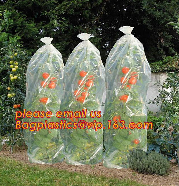 Panda Film for Blackout Greenhouse/Black-White Poly is UV-Stabilized Plastic Mushroom,0.1mm 0.12mm 0.15mm 0.18mm 0.2mm 0