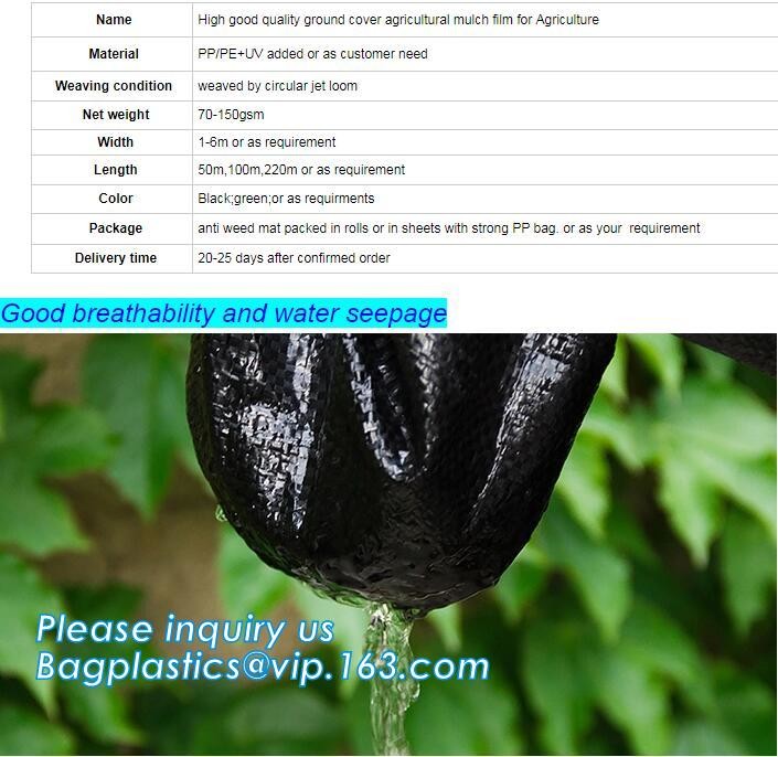Indoor 5'x5' hydroponic grow tent kits Mylar grow tent 600D gardening green house Led complete grow tent kits, BAGEASE,